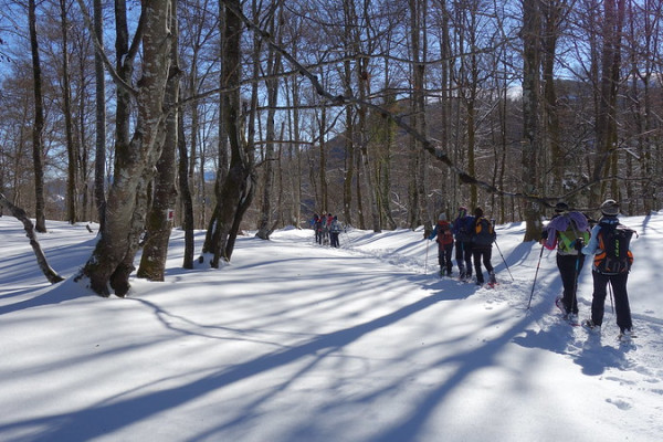 Balade en raquettes dans la forêt