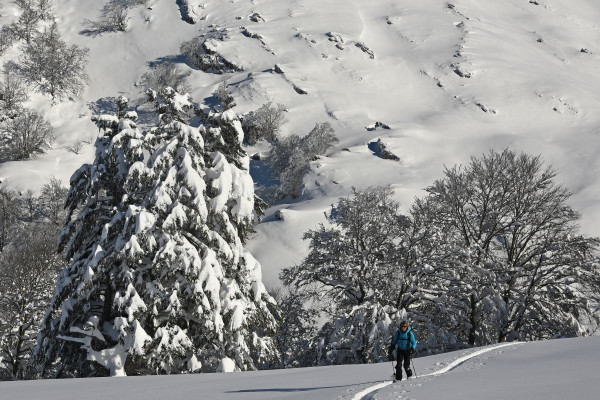 Week-End XL Splitboard Ski Freeride Tavascan