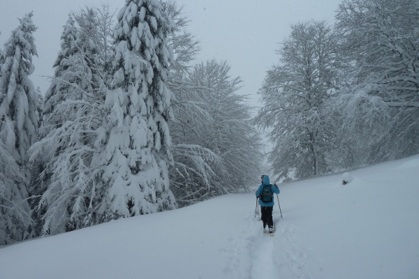 Balade sous la neige en raquettes