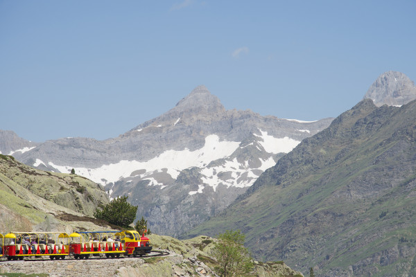 Admirez la faune et la flore de la vallée d'Ossau avec le petit train d'Artouste