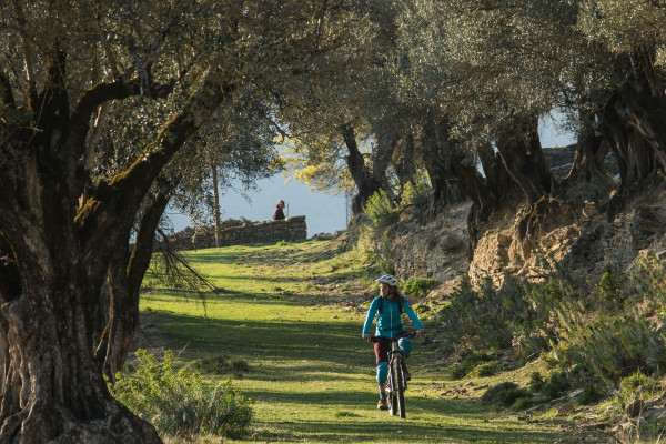 Vous aussi vous êtes fan de VTT ?