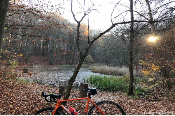 Mountainbike tour through the Ellergronn