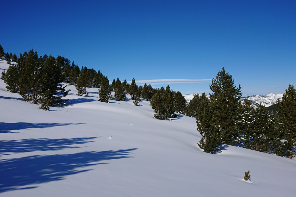 ski et snowboard freeride dans les pyrénées