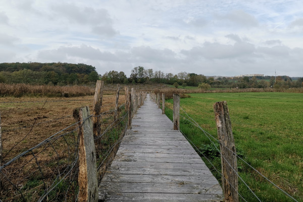 La Syre, un fleuve aux multiples visages (dates fixes)