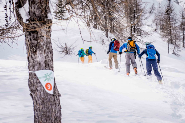 Stage di scialpinismo | Passo del Tonale | Mmove