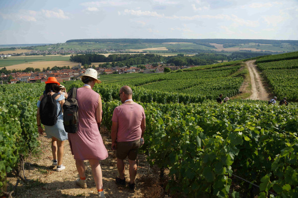 Balade gourmande à Cumières (près d'Epernay)