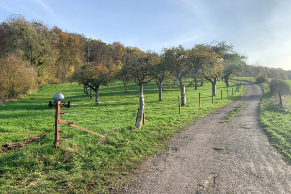 Betzder Panramatour (sur demande)