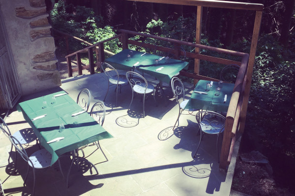 Terrazza sul bosco
