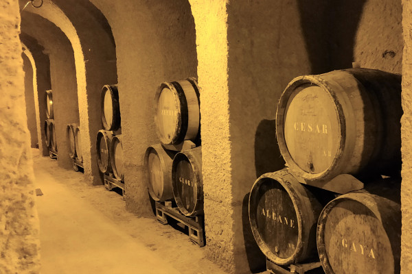 Visite de La Cave aux Coquillages avec dégustation du Champagne Legrand-Latour