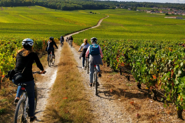 Bike tour in the vineyards VINTAGE+TRANSPORT(2 pax. min)