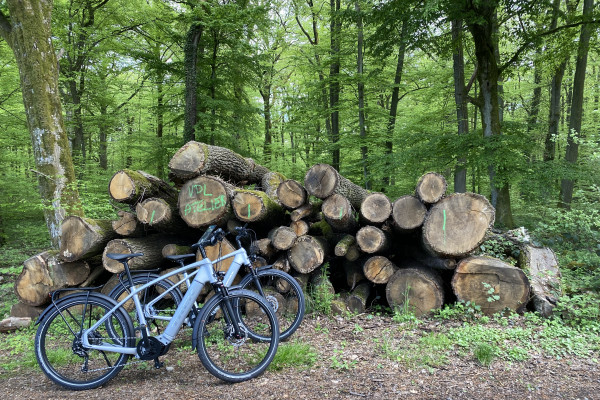Tour en e-bike à travers les forêts autour de Luxembourg-Ville