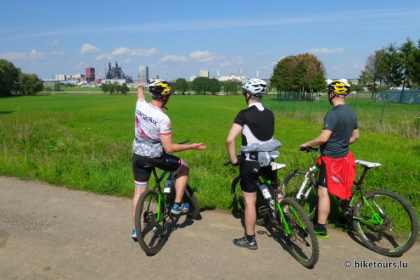 Customized Guided MTB Tour