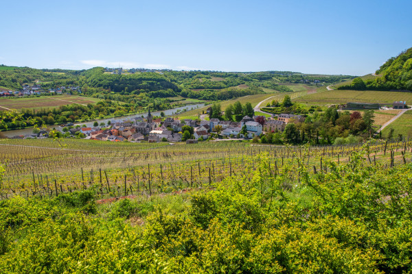 Palmberg aux multiples facettes (dates fixes)