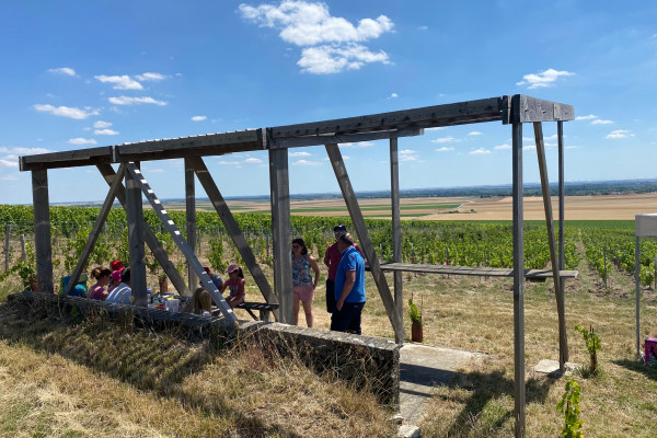 Balade et dégustation au cœur du vignoble champenois