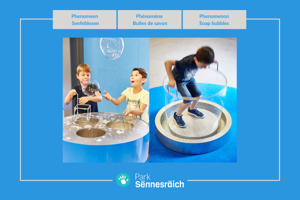 Ticket: Phenomenon of soap bubbles