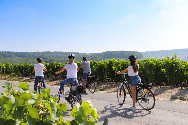 Balade à vélo en Champagne - L'immersive