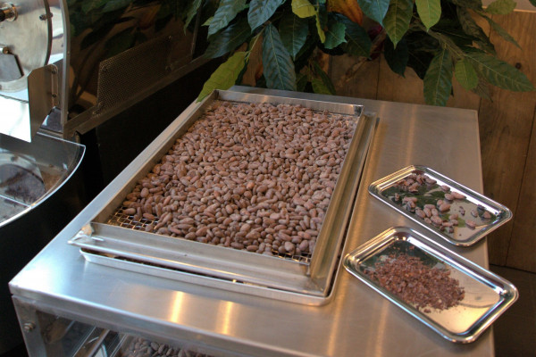 Matières premières,fèves de cacao,production de chocolat