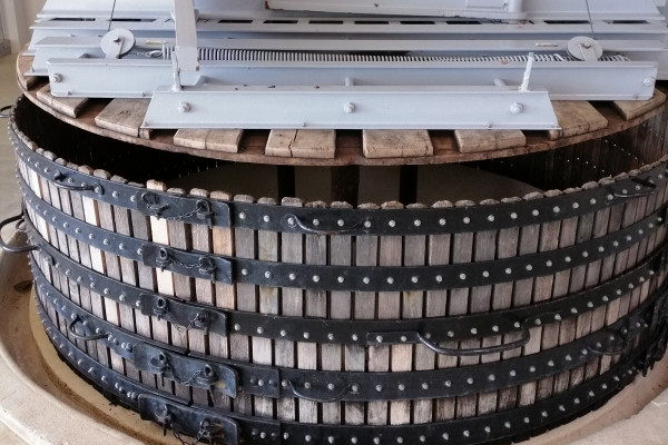 Champagne F-P ARNOULT Harvest cellar tour with tasting – EN