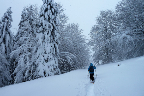 Pyrénées hiver