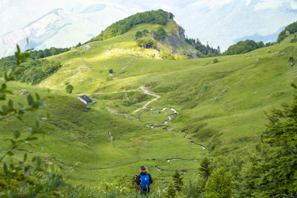Randonnée nature dans les Pyrénées 