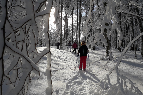 Vacances en famille à la montagne