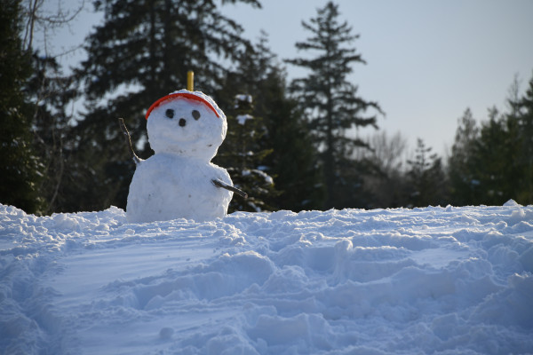 Bonhomme de neige