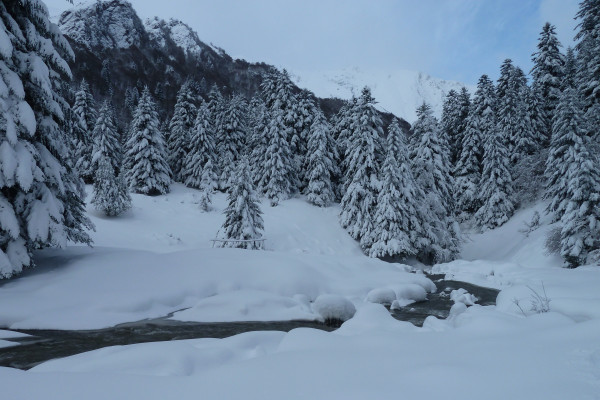 Sortie rando raquettes en famille