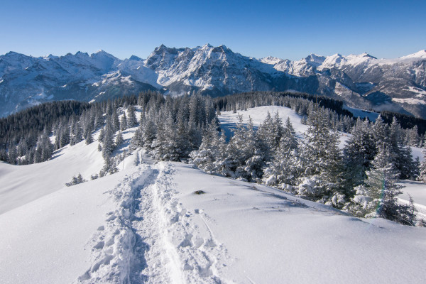Raquettes à neige