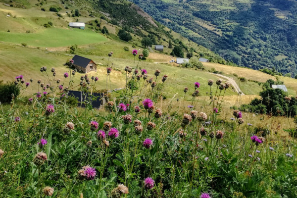 Déconnection en pleine nature 