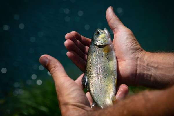 Journée pêche avec un guide
