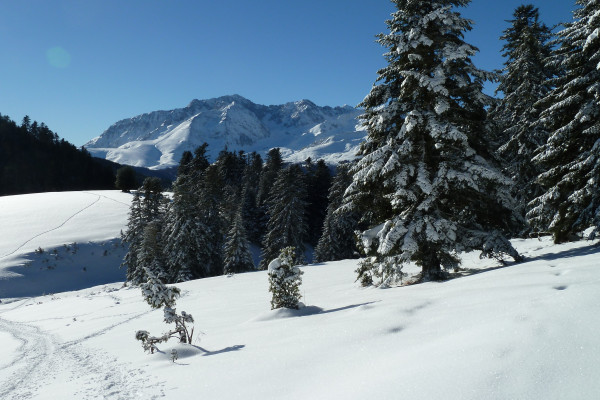 Raquettes à neige dans les Pyrénées