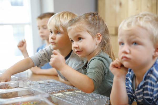 Children playfully learn about the production of chocolate