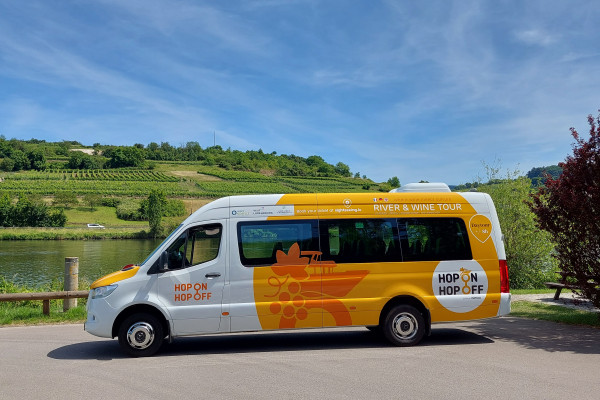 Bus River & Wine Tour, by Moyocci & Sightseeing