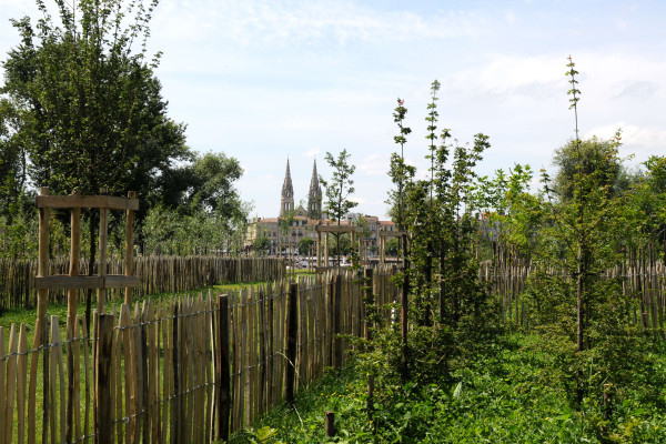 Les plantes urbaines ne sont pas des mauvaises herbes !