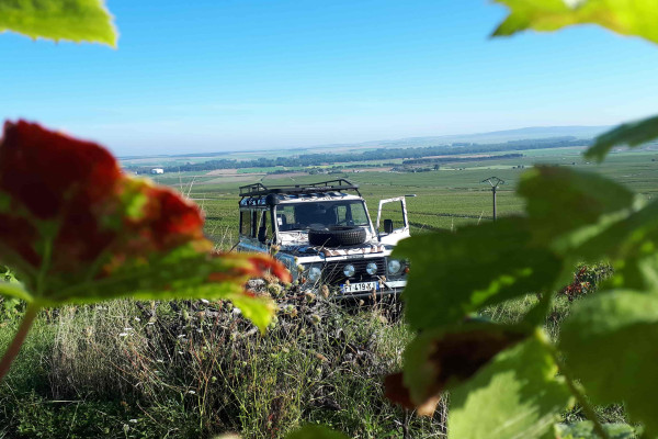 La Champenoise / journée