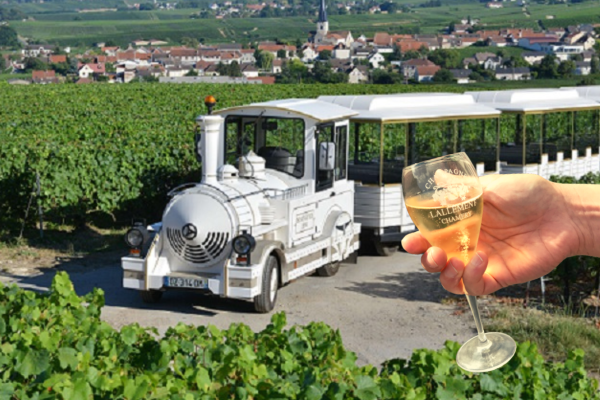Tour en Petit Train Des Vignobles de Champagne + Visite de cave