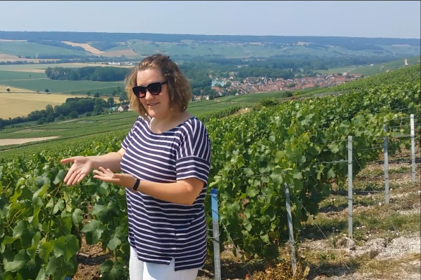 Tour privé Veuve Clicquot & domaine local