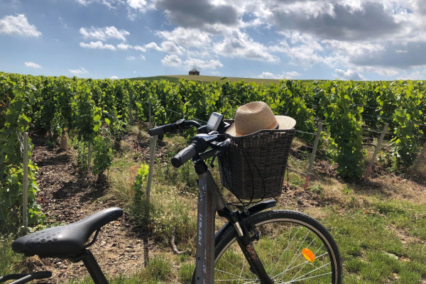 Location de vélo électrique au départ d&rsquo;Epernay