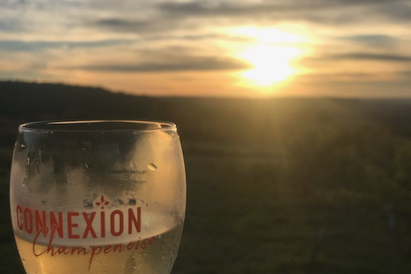 La Sunset / Safari au coucher du soleil.