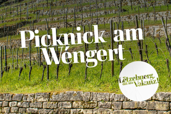 Picknick im Weinberg