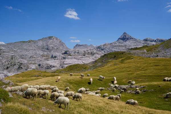 Week-end – Vie de berger – La Pierre Saint-Martin – 2 jours – Pyrénées