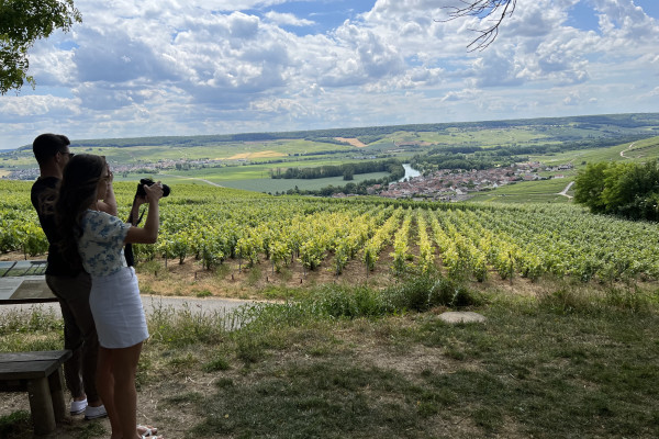 The Must-sees in 3H30 in private from Epernay
