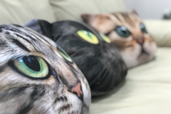 Operation Pussycat — Bild 3