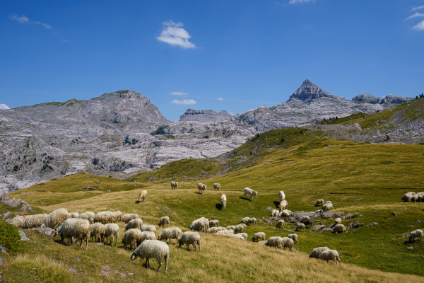 Week-end – Vie de berger – La Pierre Saint-Martin – 2 jours – Pyrénées