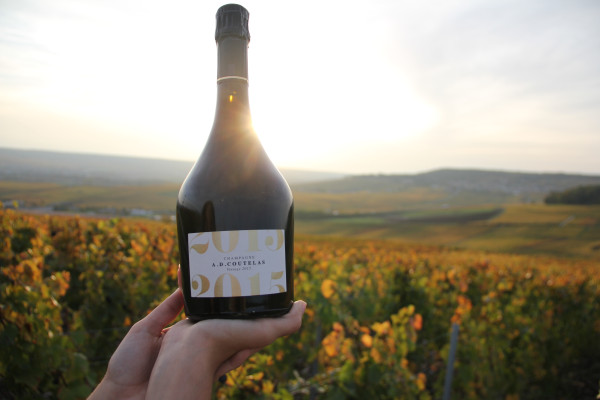 Dégustation de Champagne