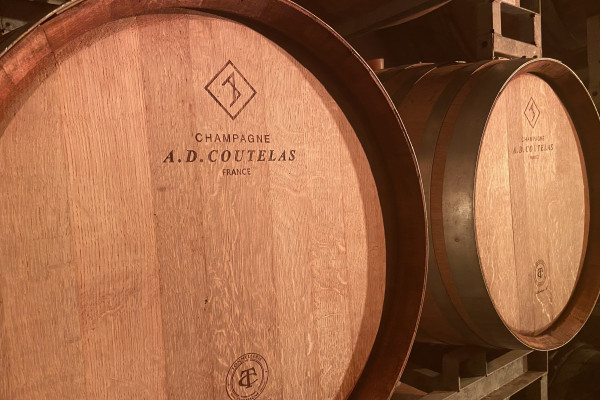 Dégustation de Champagne