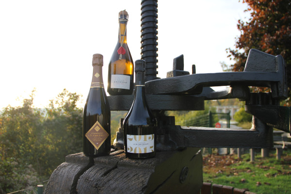 Dégustation de Champagne