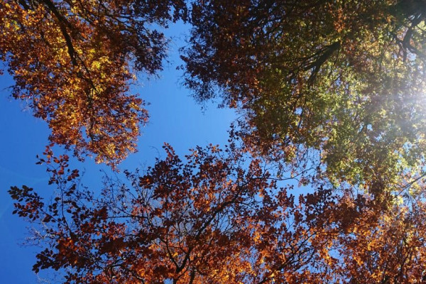 Randonnées pédestres automne