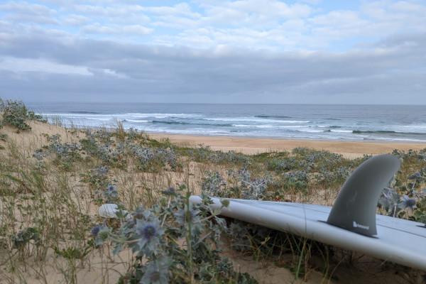 Week-end XL Surf – Itinérance – ABE/ABM – Côte Atlantique – 3 jours – Landes