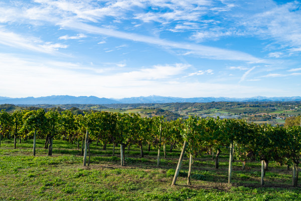 Photo Non contractuelle